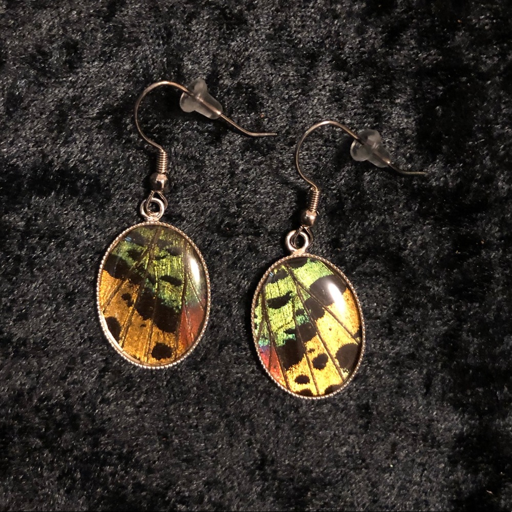 COPY - Real Butterfly Wing Earrings